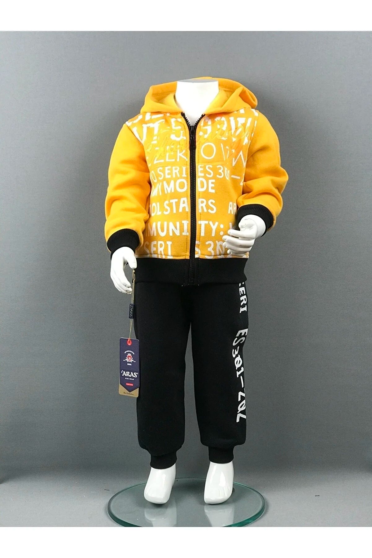 Hooded Boy's Tracksuit Top and Bottom Set 